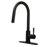 Dura Faucet RV Kitchen Pull-Out Faucet, Matte Black