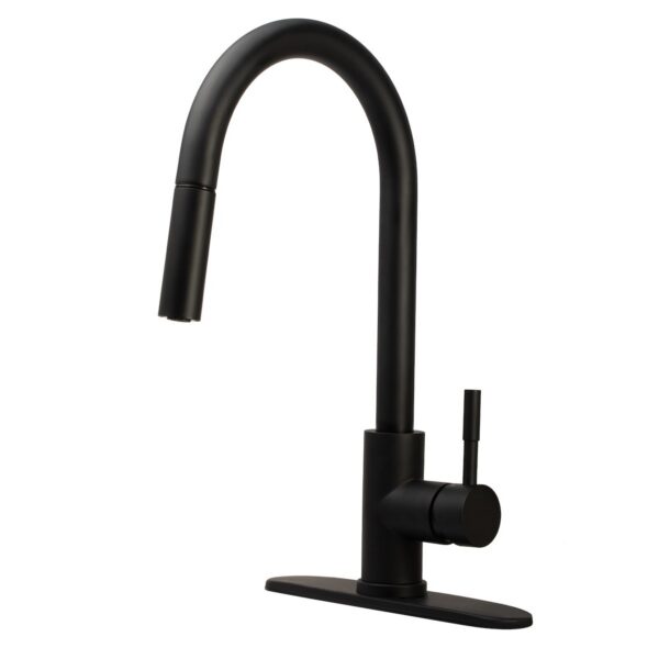 Dura Faucet RV Kitchen Pull-Out Faucet, Matte Black