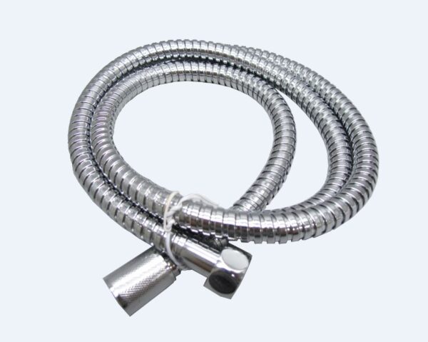 Empire RV Shower Head with Hose, Silver, 60-inch, Metal