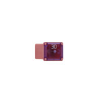 Bussmann 30 Amp Low-Profile FMX Female Fuse