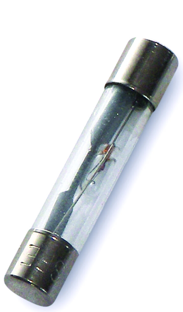 WirthCo Battery Doctor 30-Amp AGC Glass Fuse, Pack of 5