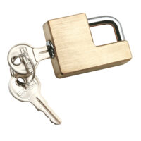 Reese Trailer Coupler Lock, Silver, 5/8 to 1 Inch, Adjustable
