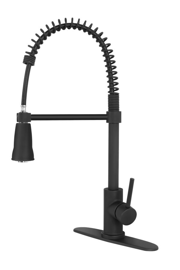 Dura Faucet RV Kitchen Pull-Out Faucet, Matte Black, with Hose