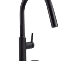 Phoenix Products Kitchen Faucet, High Arc, Matte Black, Single Lever