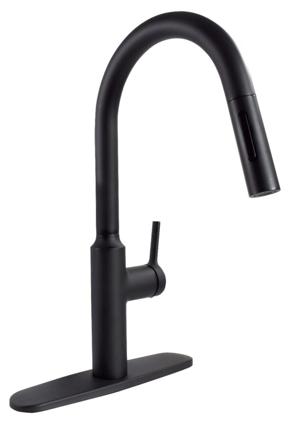 Phoenix Products Kitchen Faucet, High Arc, Matte Black, Single Lever
