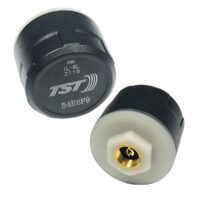 TST Programmable Valve Stem Tire Pressure Monitor, Single