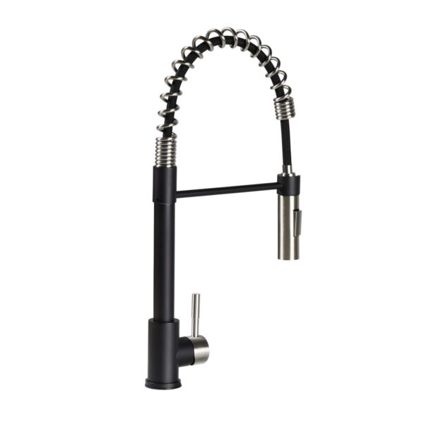 Lippert RV Kitchen Faucet, Pull-Out Spout, Black