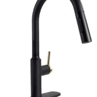 Phoenix Products Kitchen Faucet, High Arc, Black and Gold, Single Lever
