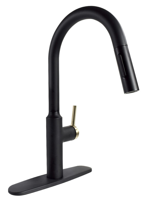 Phoenix Products Kitchen Faucet, High Arc, Black and Gold, Single Lever