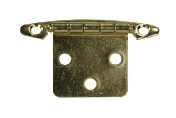 JR Products Door Hinge, Free-Swing, Brass