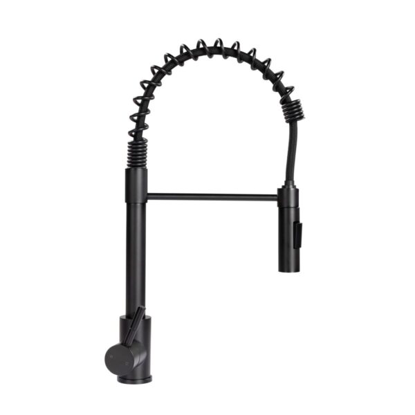 Lippert Black Stainless Steel Kitchen Faucet, Single Hole Deck Mount, Pull-Out Spout, Lever Handle