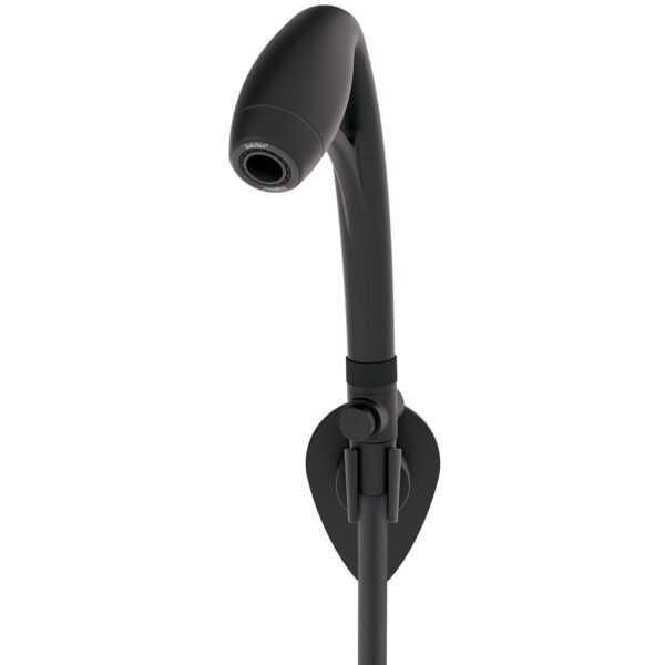 Oxygenics Hand Shower Head, 2 Spray Settings, Black, Matte