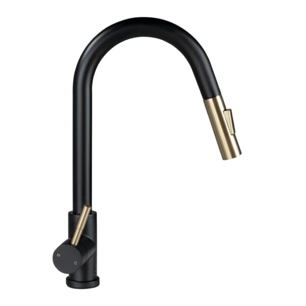 Lippert Flow Max Pull-Down Kitchen Faucet, Black/Gold, Stainless Steel