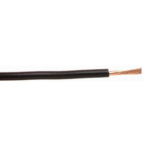 East Penn 13-Gauge Stranded Copper Wire, 12 Feet, Black Carded