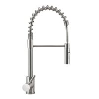 Lippert Single Hole Kitchen Faucet, Stainless Steel, Pull-Out Spout, Silver