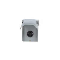 Parallax 120V AC RV Outdoor Receptacle, Gray