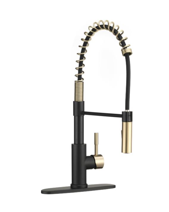 Dura Faucet Premium RV Kitchen Faucet, Pull Out, Lever, Black/Gold