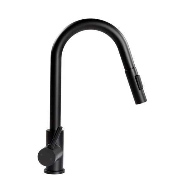 Lippert Black Stainless Steel Kitchen Faucet, Single Hole Deck Mount, Pull-Out Spout, Lever Handle